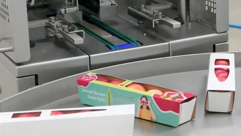 Servo gearboxes increase efficiency and dynamics in packaging machines