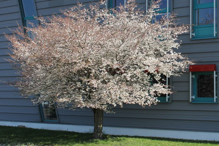 Experience diversity, understand change